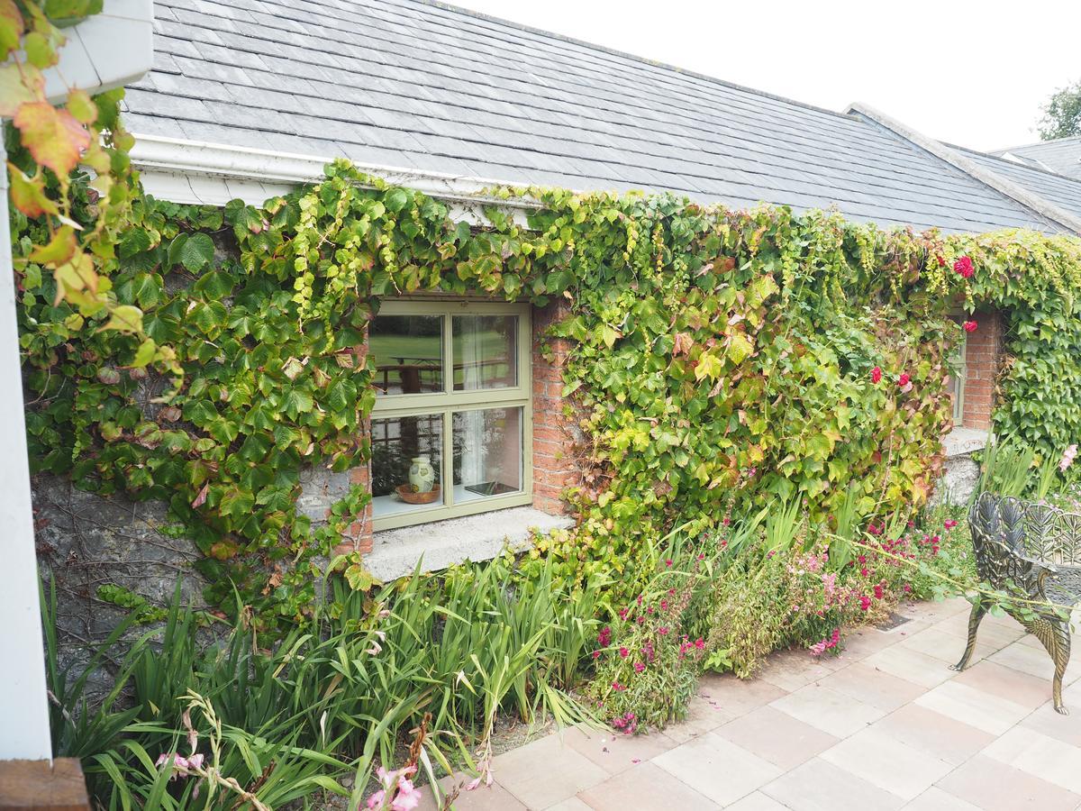 Coolanowle Self Catering Holiday Accommodation Карлоу Экстерьер фото
